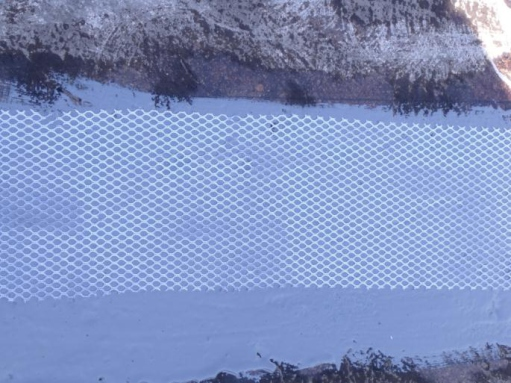 sgfa06.png sgfa06.png