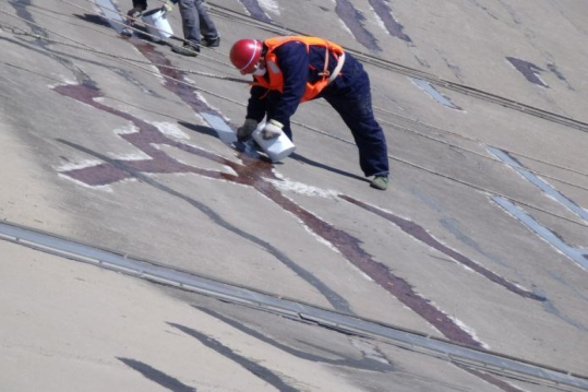 sgfa05.png sgfa05.png